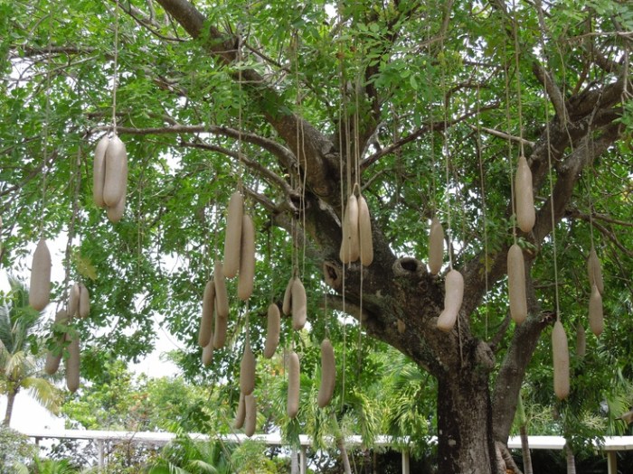 e588b3945355288bd4afb915642d3f00