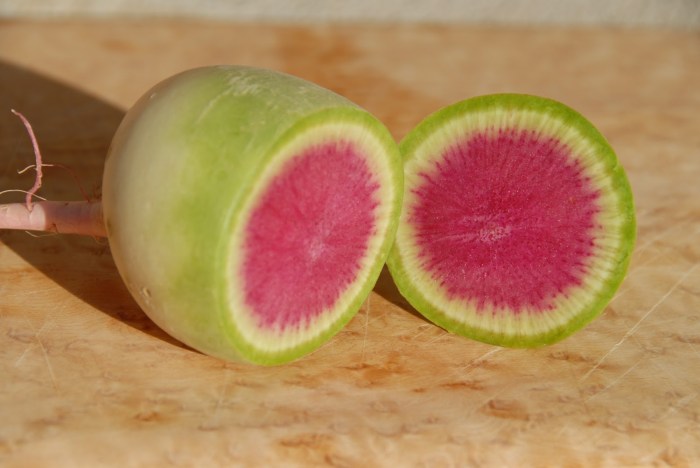 watermelonradishes