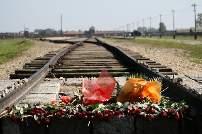 auschwitz-birkenau-540526_1920.jpg