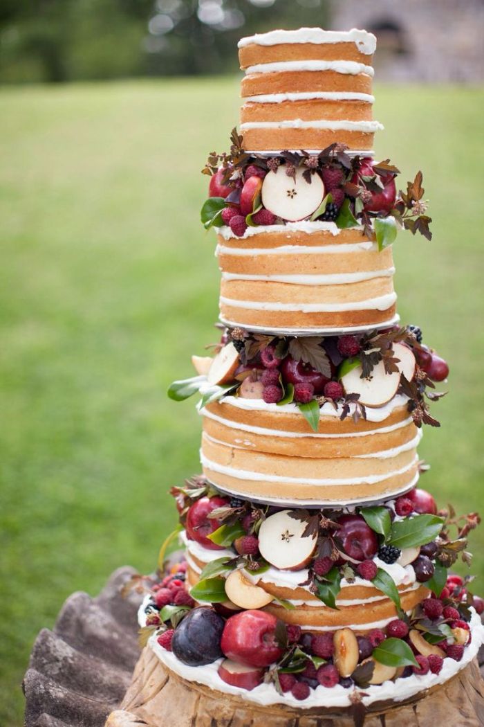 cake_1377aee68d3112a927d1645f5dd21be9--fruit-cakes-naked-cake.jpg